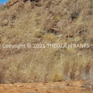ROzCh38-07 | Travelling Around Australia with Jeff Banks