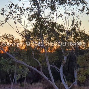 ROzCh38-100 | Travelling Around Australia with Jeff Banks