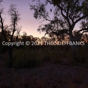 ROzCh38-102 | Travelling Around Australia with Jeff Banks