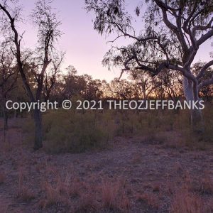 ROzCh38-104 | Travelling Around Australia with Jeff Banks