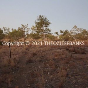 ROzCh38-106 | Travelling Around Australia with Jeff Banks