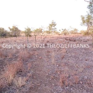 ROzCh38-107 | Travelling Around Australia with Jeff Banks