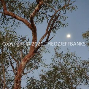 ROzCh38-108 | Travelling Around Australia with Jeff Banks