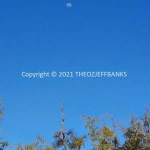 ROzCh38-38 | Travelling Around Australia with Jeff Banks