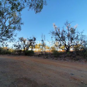 ROzCh38-47 | Travelling Around Australia with Jeff Banks