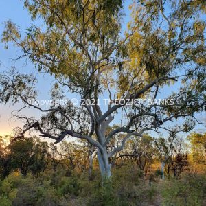 ROzCh38-48C | Travelling Around Australia with Jeff Banks