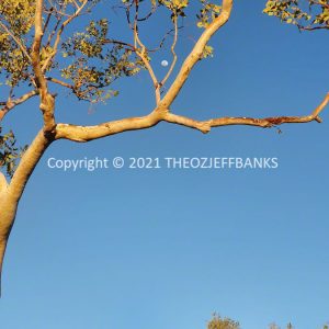 ROzCh38-52 | Travelling Around Australia with Jeff Banks