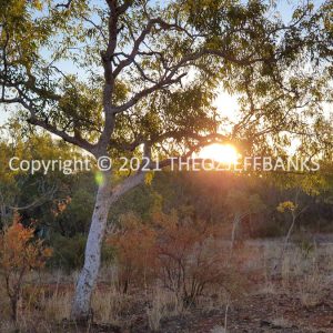 ROzCh38-57S | Travelling Around Australia with Jeff Banks