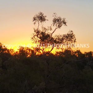 ROzCh38-78S | Travelling Around Australia with Jeff Banks