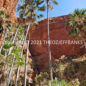ROzCh39-170 | Travelling Around Australia with Jeff Banks