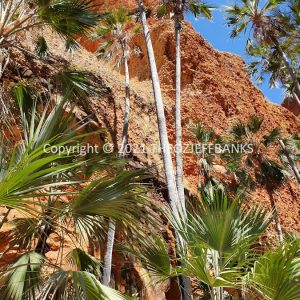 ROzCh39-172 | Travelling Around Australia with Jeff Banks