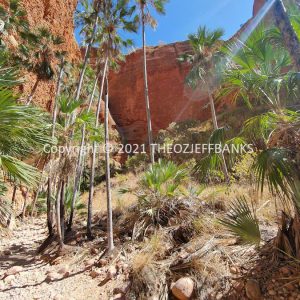 ROzCh39-176 | Travelling Around Australia with Jeff Banks