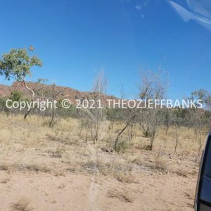 ROzCh39-196 | Travelling Around Australia with Jeff Banks