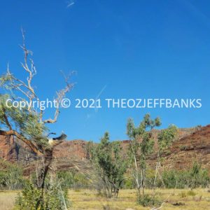 ROzCh39-204 | Travelling Around Australia with Jeff Banks