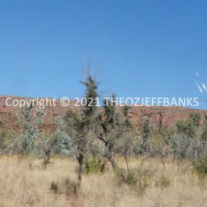 ROzCh39-209 | Travelling Around Australia with Jeff Banks
