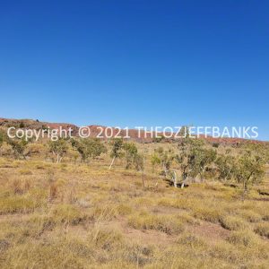 ROzCh39-213 | Travelling Around Australia with Jeff Banks