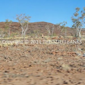 ROzCh39-216 | Travelling Around Australia with Jeff Banks