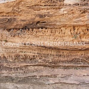 ROzCh39-31 | Travelling Around Australia with Jeff Banks