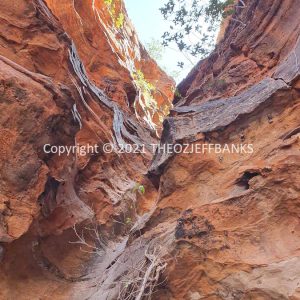 ROzCh39-35 | Travelling Around Australia with Jeff Banks