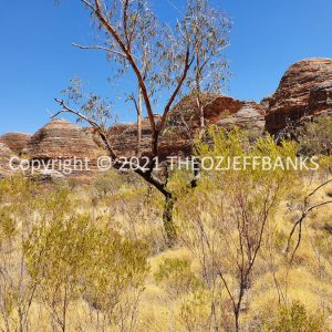 ROzCh39-49 | Travelling Around Australia with Jeff Banks