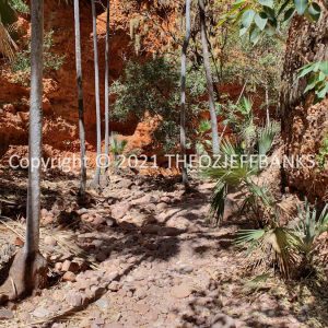 ROzCh39-93 | Travelling Around Australia with Jeff Banks