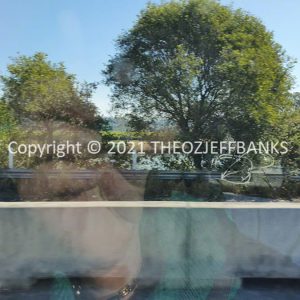 ROzCh4-29 | Travelling Around Australia with Jeff Banks