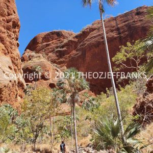 ROzCh40-192 | Travelling Around Australia with Jeff Banks