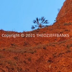 ROzCh40-214 | Travelling Around Australia with Jeff Banks