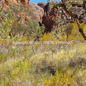 ROzCh40-32 | Travelling Around Australia with Jeff Banks
