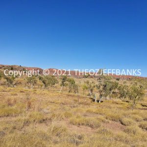 ROzCh40-322 | Travelling Around Australia with Jeff Banks
