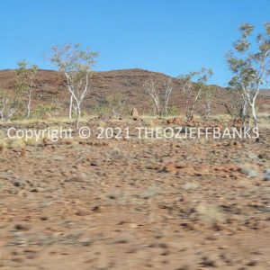 ROzCh40-325 | Travelling Around Australia with Jeff Banks