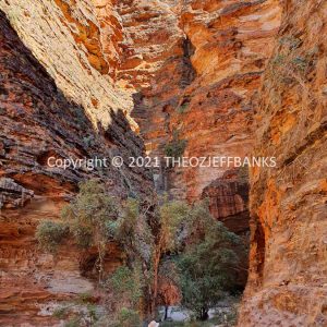 ROzCh40-66 | Travelling Around Australia with Jeff Banks