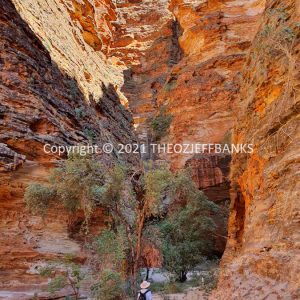 ROzCh40-67 | Travelling Around Australia with Jeff Banks