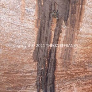 ROzCh40-81 | Travelling Around Australia with Jeff Banks