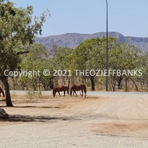 ROzCh41-11 | Travelling Around Australia with Jeff Banks