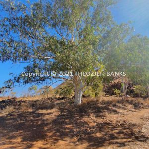 ROzCh43-48C | Travelling Around Australia with Jeff Banks