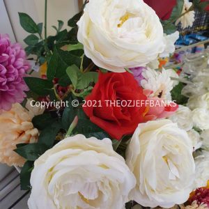 ROzCh44-01F