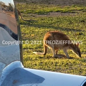 ROzCh46-102 | Travelling Around Australia with Jeff Banks