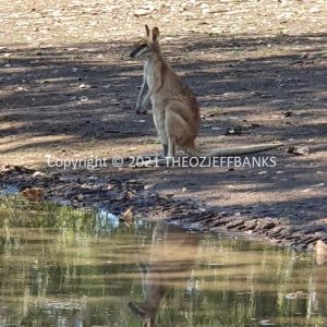 ROzCh46-39 | Travelling Around Australia with Jeff Banks