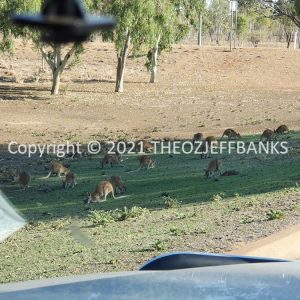ROzCh46-45 | Travelling Around Australia with Jeff Banks