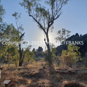 ROzCh46-63 | Travelling Around Australia with Jeff Banks