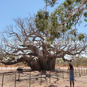 ROzCh47-25 | Travelling Around Australia with Jeff Banks