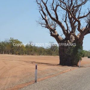 ROzCh47-28 | Travelling Around Australia with Jeff Banks