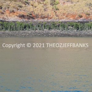 ROzCh48-117 | Travelling Around Australia with Jeff Banks