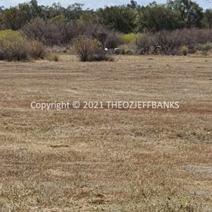 ROzCh6-56 | Travelling Around Australia with Jeff Banks