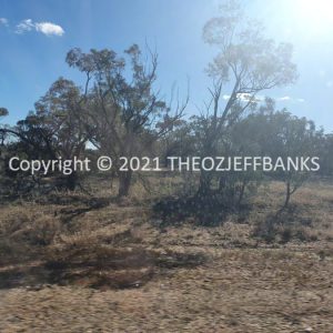 ROzCh6-83 | Travelling Around Australia with Jeff Banks