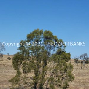 ROzCh6-90 | Travelling Around Australia with Jeff Banks