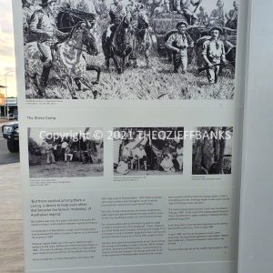 ROzCh7-08