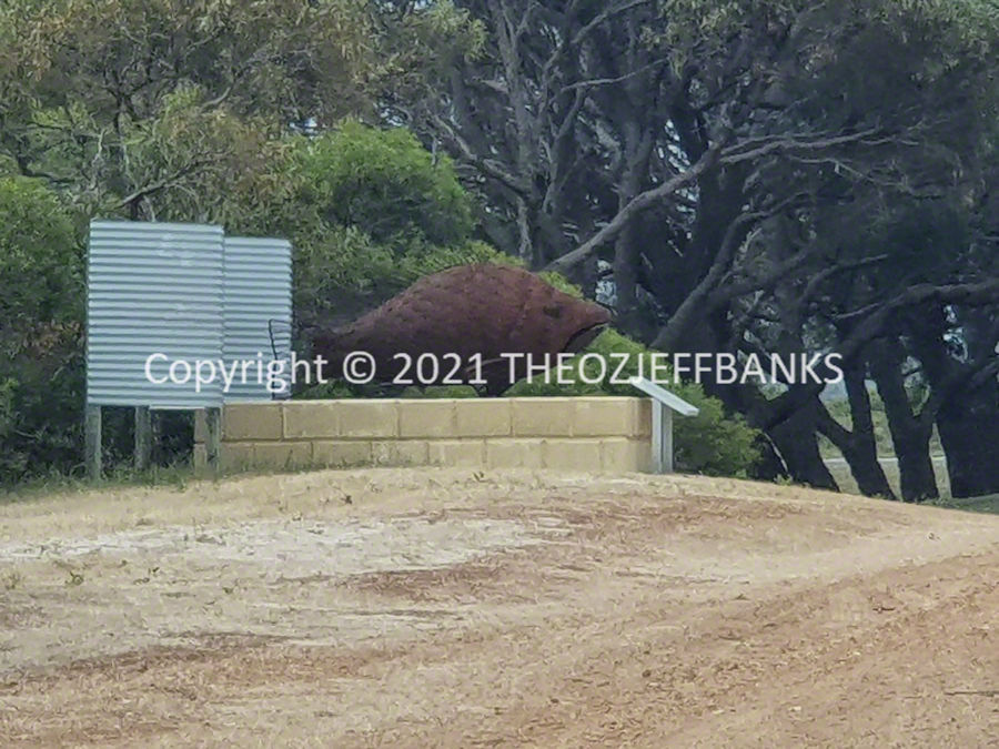Around Oz the First Time - Chapter 72 - Perth Day 2 | Travelling Around Australia with Jeff Banks