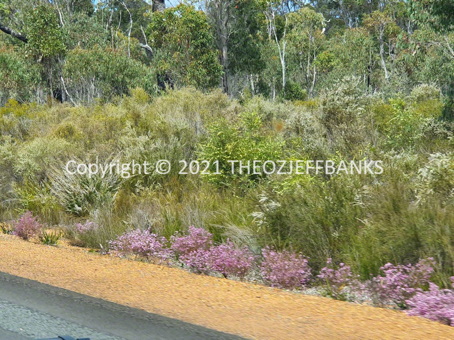 Around Oz the First Time - Chapter 79 - Yallingup (Margaret River) to Albany | Travelling Around Australia with Jeff Banks